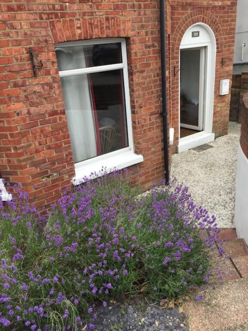 Spacious 5 Large Bedroom Victorian House - Beach 2 Miles Poole Exteriör bild