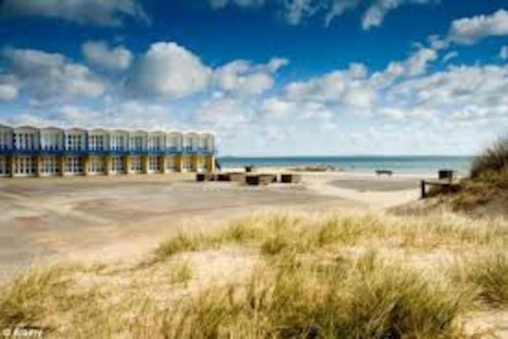 Spacious 5 Large Bedroom Victorian House - Beach 2 Miles Poole Exteriör bild
